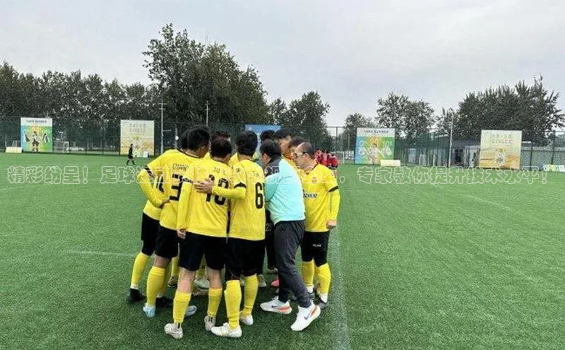 人人体育app官方下载ios壹网壹创精彩纷呈！足球运动员技术教学视频全集，专家教你提升技术水平！