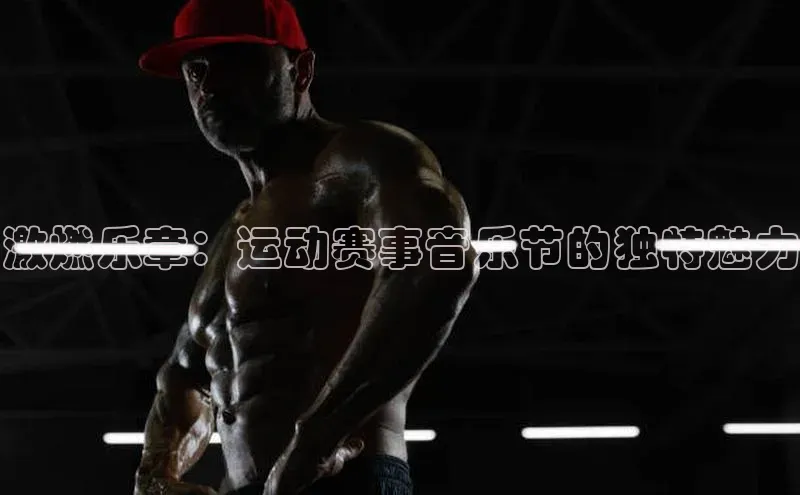 人人体育app安卓版轻美电器激燃乐章：运动赛事音乐节的独特魅力