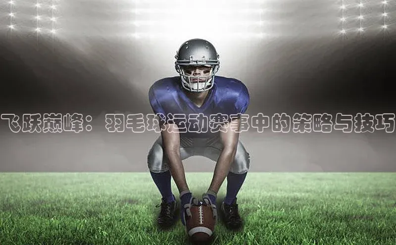 飞跃巅峰：羽毛球运动赛事中的策略与技巧