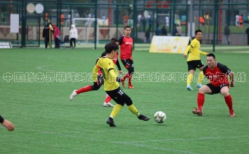 中国搏击界巅峰对决：搏击类运动赛事的魅力与挑战