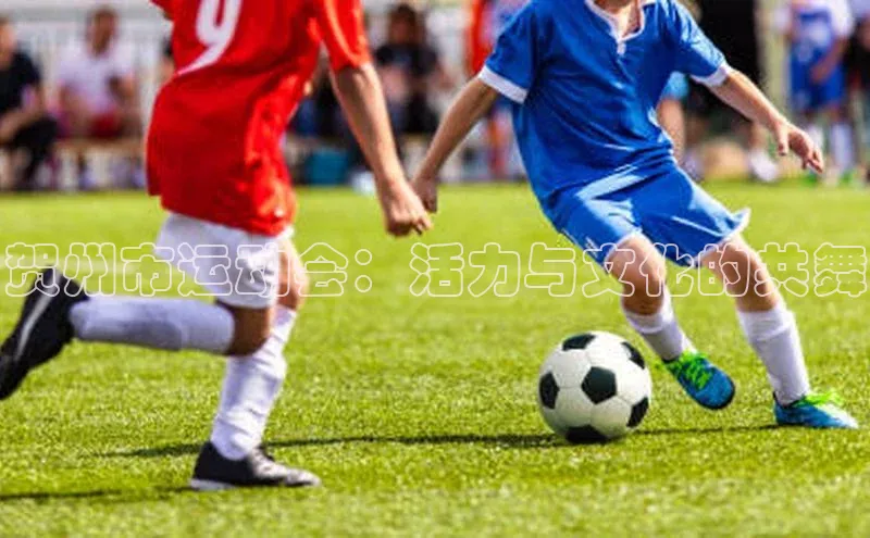 贺州市运动会：活力与文化的共舞