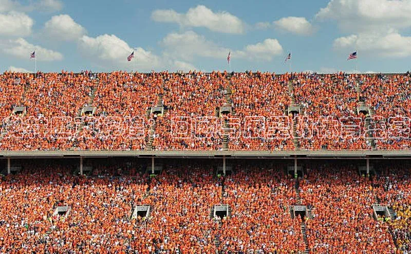 奥林匹克辉煌：回顾与展望的体育盛宴