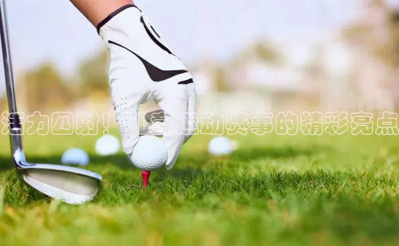 活力四射！儿童运动赛事的精彩亮点