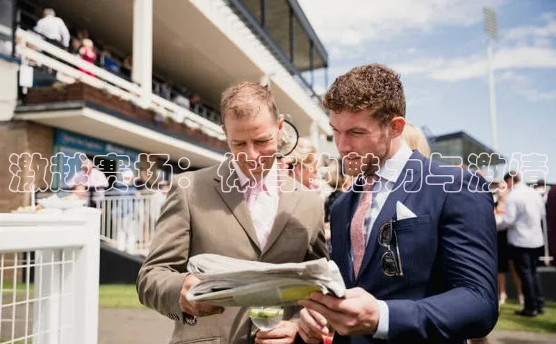 激越赛场：体育的魅力与激情