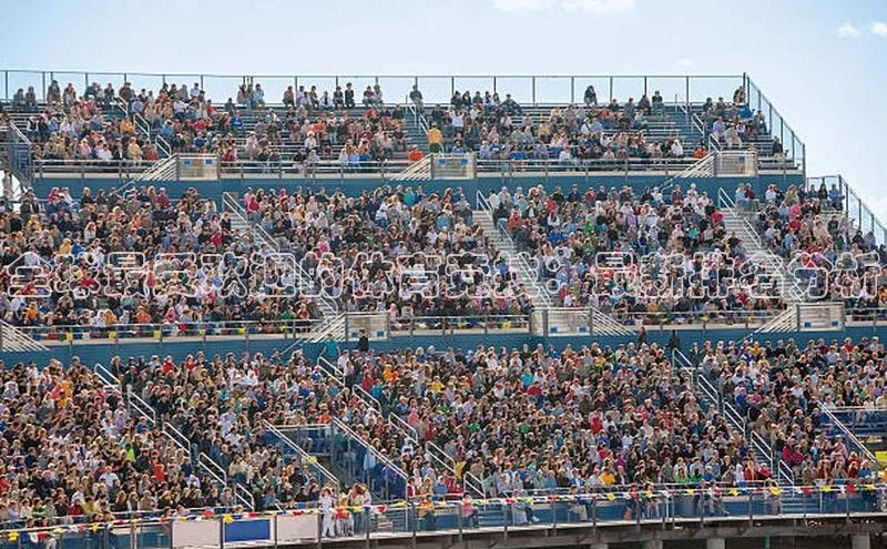 全球最受欢迎的体育竞技：最新排名分析