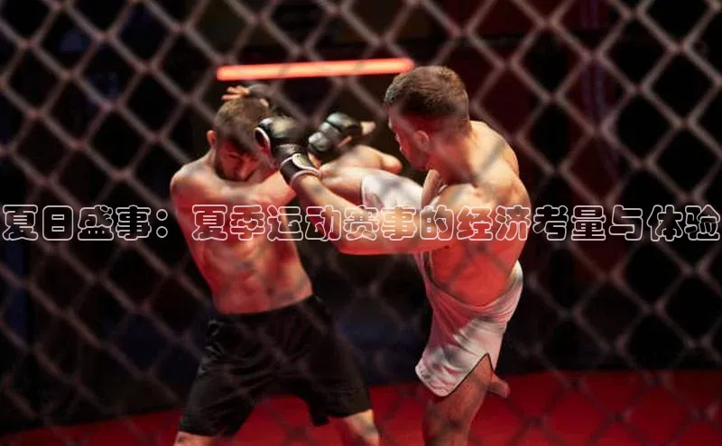 夏日盛事：夏季运动赛事的经济考量与体验
