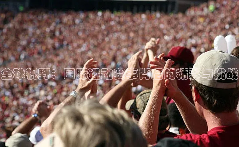 全球视野：国际运动赛事背后的精彩与挑战