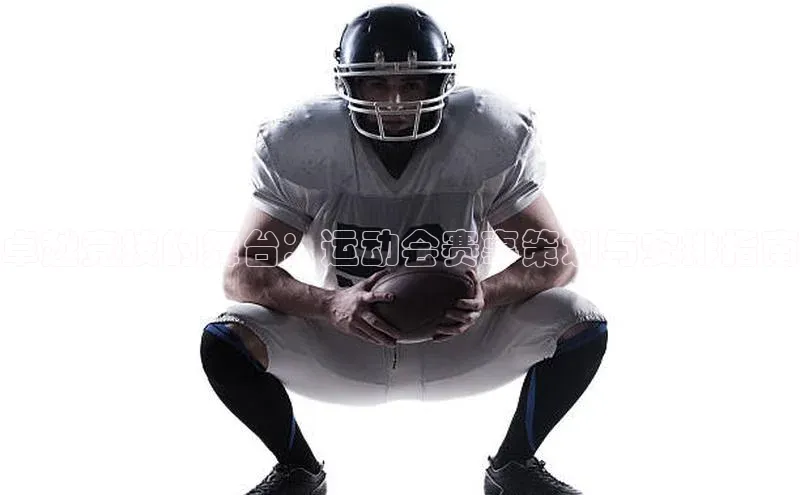 卓越竞技的舞台：运动会赛事策划与安排指南