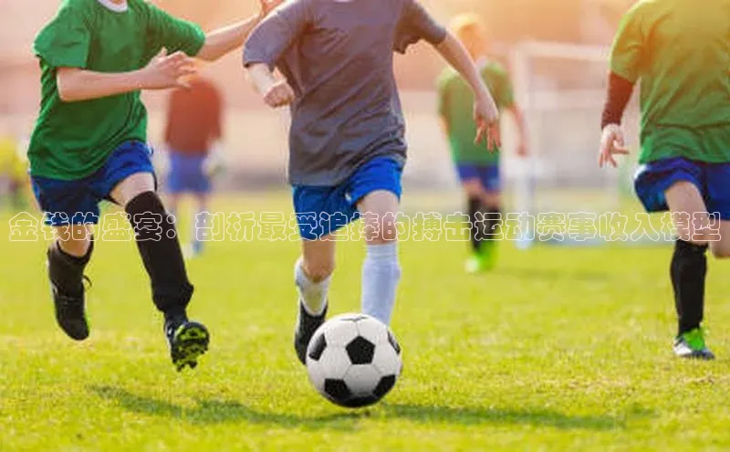 金钱的盛宴：剖析最受追捧的搏击运动赛事收入模型