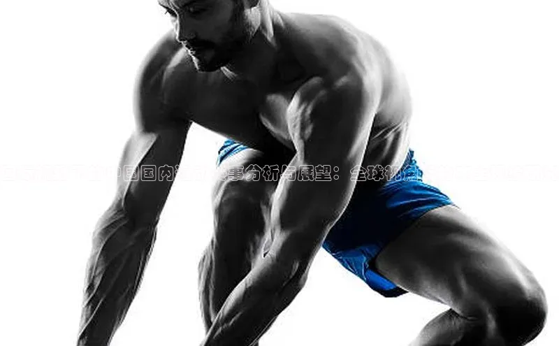 国际视野下的中国国内运动赛事分析与展望：全球视角下的本土现象研究