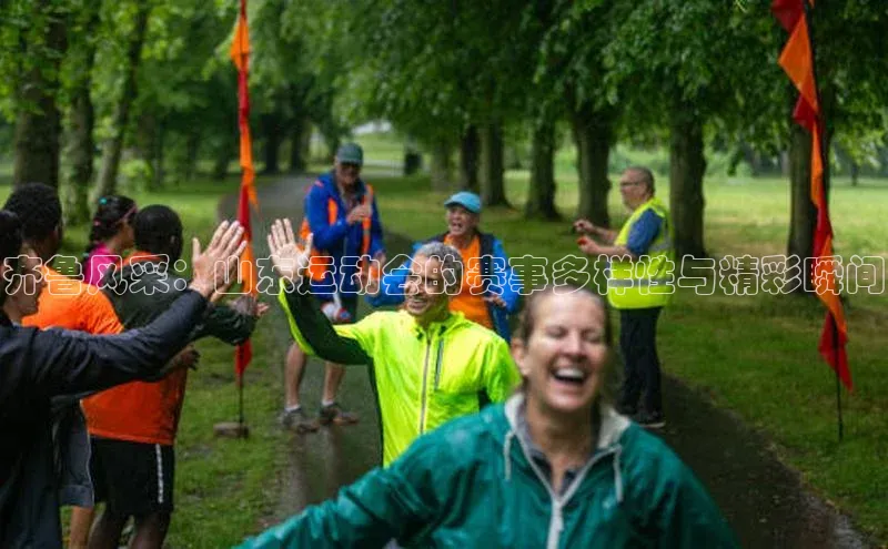 齐鲁风采：山东运动会的赛事多样性与精彩瞬间
