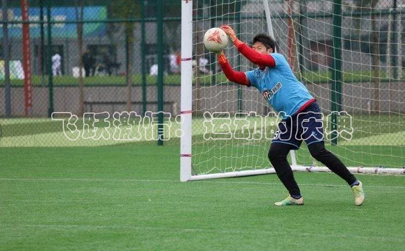 飞跃激情：运动的庆典