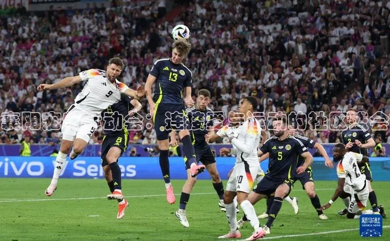 襄阳宠物运动会：连接爱与运动的社区盛会