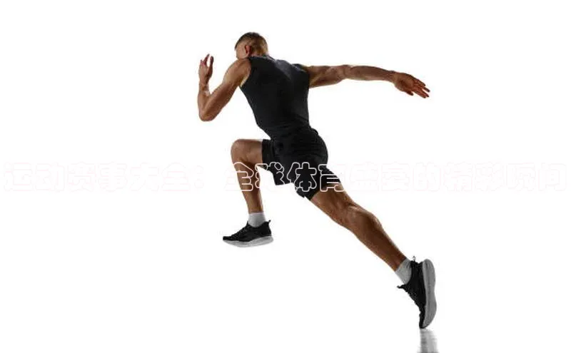 人人体育正版app下载