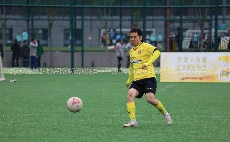 人人体育手机版