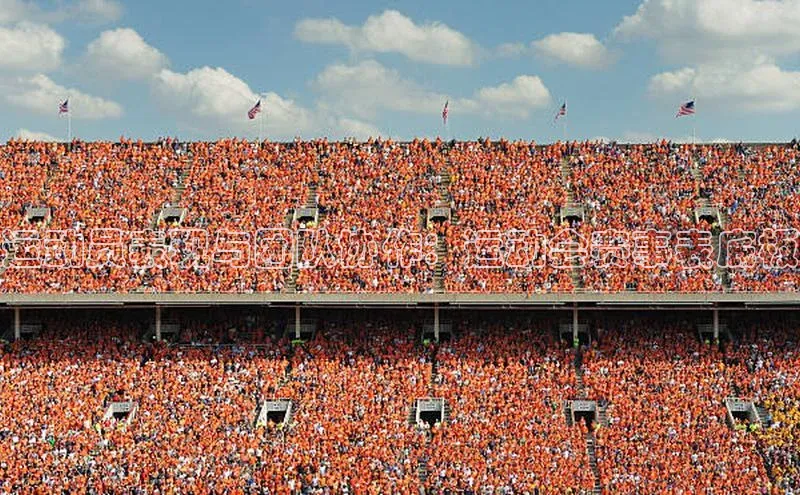 人人体育app安卓版